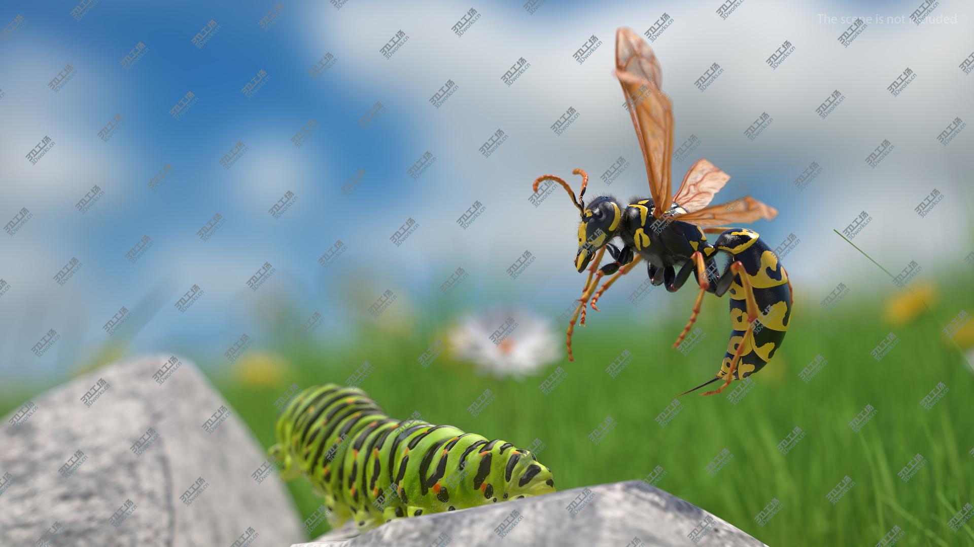 images/goods_img/202104093/3D Wasp Attack Pose Fur/5.jpg